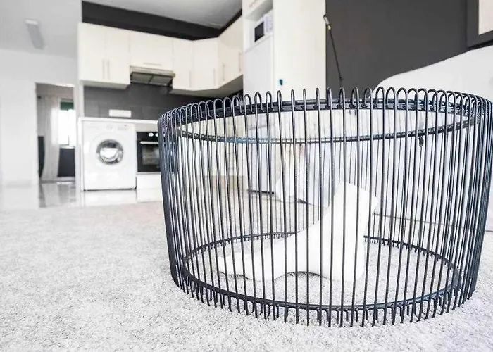 The Black House In Apartamento Costa Adeje (Tenerife)